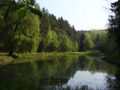 Kreuztalweiher_002_400