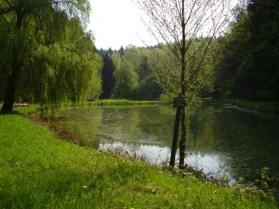 Kreuztalweiher_004_400