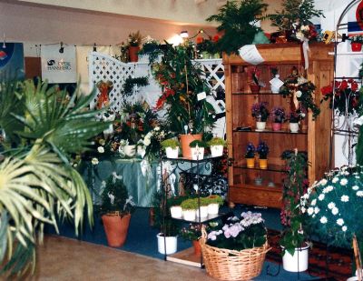 Stand_Blumenhaus_Neu_400